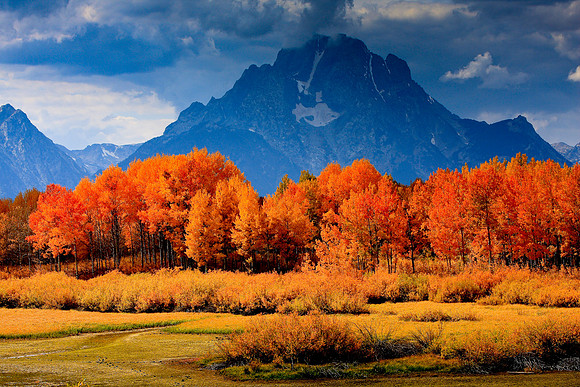 Eulila's Favorite from Grand Teton