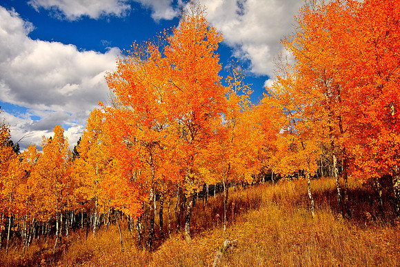 IMG_2548Grand_Teton