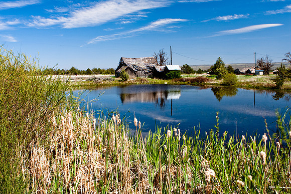 Century Farm