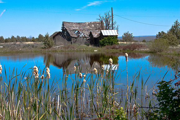 Century Farm