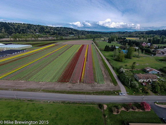 DJI01612