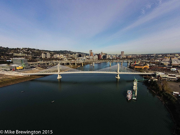 Tilikum Crossing, Bridge of the People