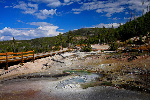 IMG_2409Yellowstone