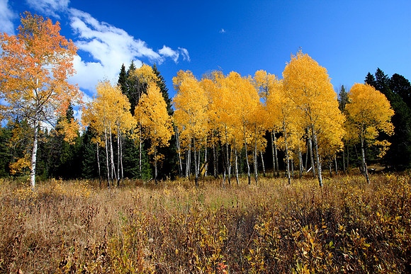 October in Grand Teton