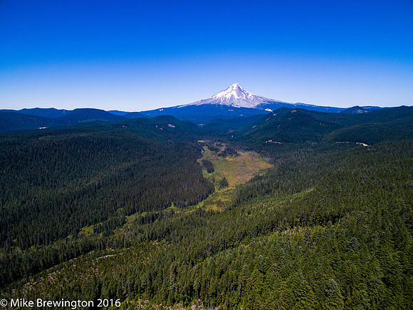DJI_0808