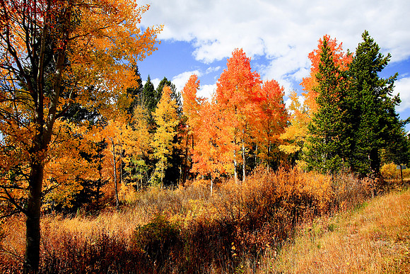 October in Grand Teton
