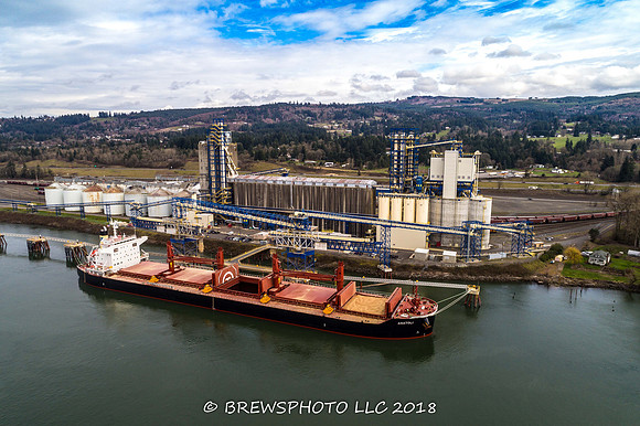 DJI_0081