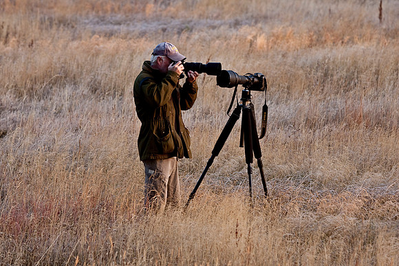 Buffalo Photographer from Washington State