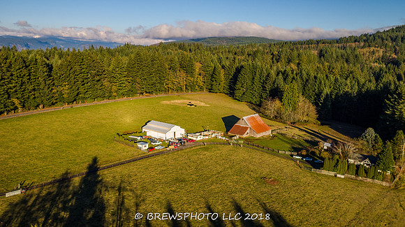 DJI_0099