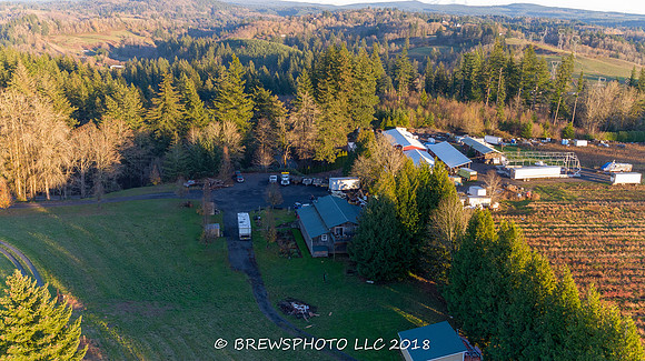 DJI_0134