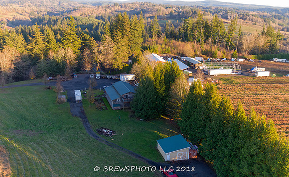 DJI_0139