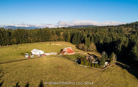 DJI_0182