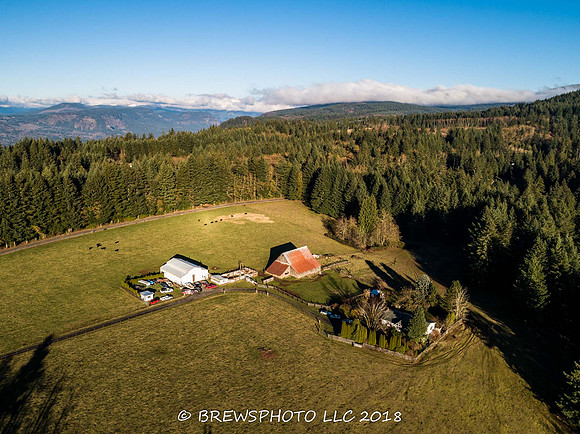 DJI_0183