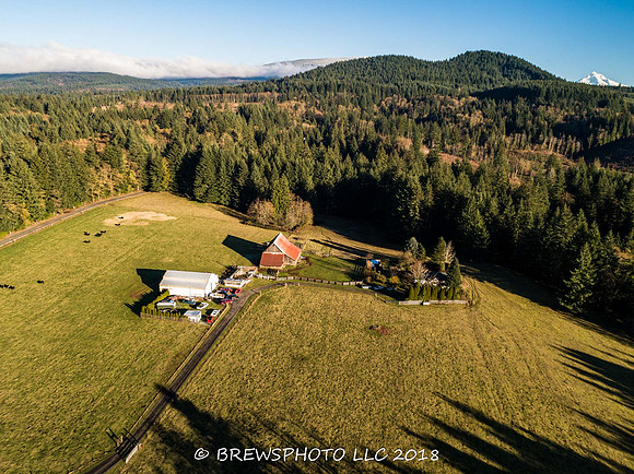 DJI_0186