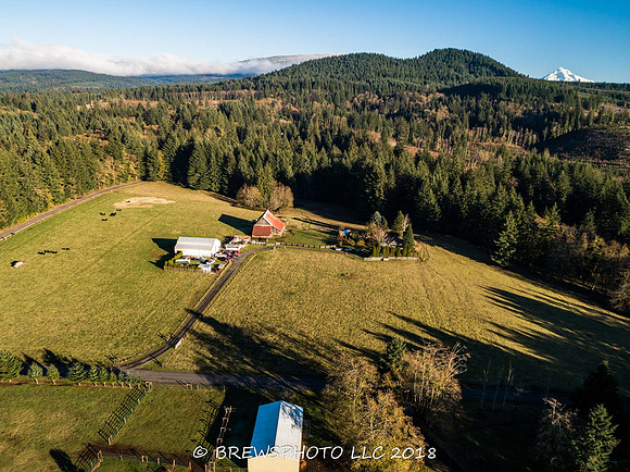 DJI_0187