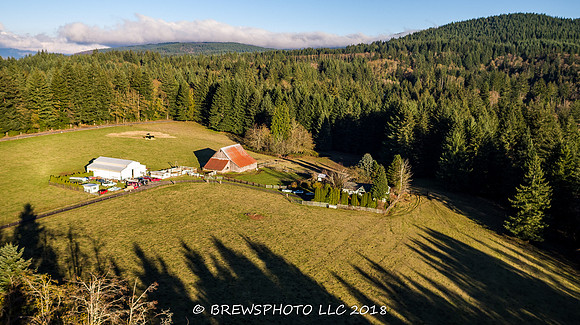 DJI_0101