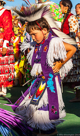 North American Indian Days