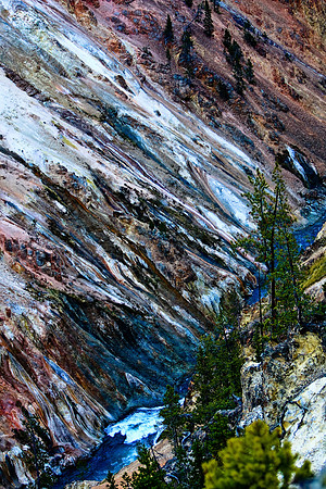 IMG_2446Yellowstone