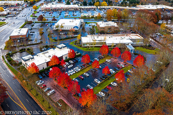 Vancouver Clinic