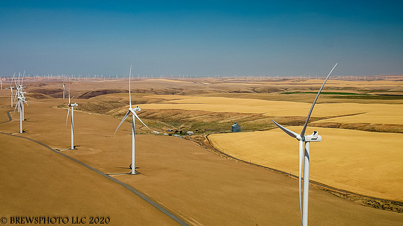 Windmills and Wheatfields