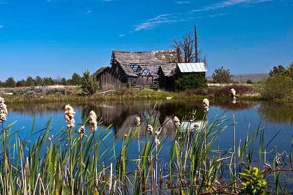 Century Farm