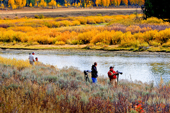 Photographers lined up @ Oxbow Bend on the Snake River