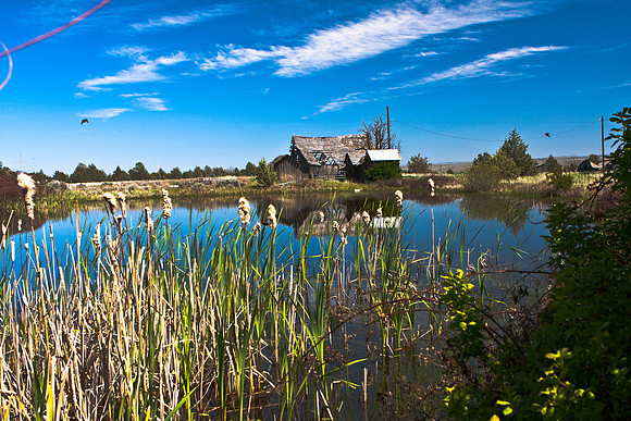 Century Farm