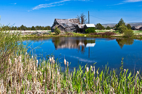 Century Farm