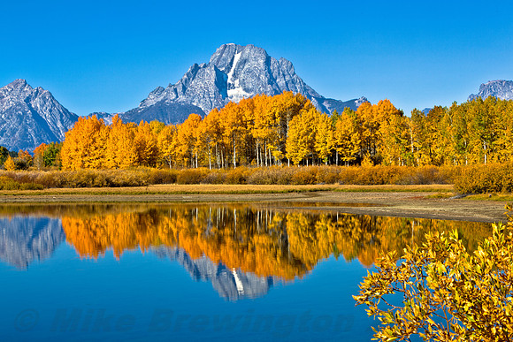 Reflections in Splendor