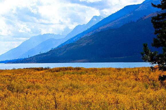 IMG_2526Grand_Teton