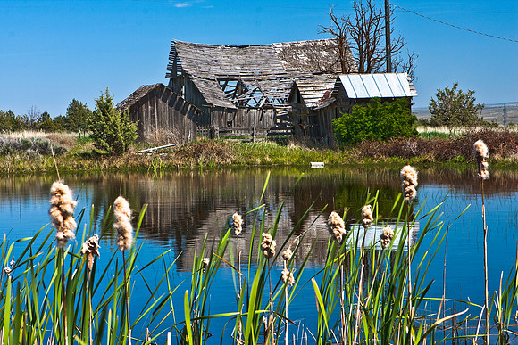 Century Farm