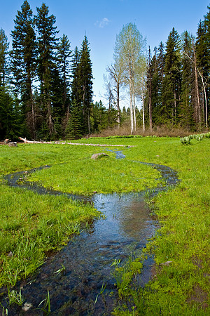 Winter Runoff near Looking Glass/50 Meadows GS