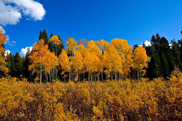 IMG_2535Grand_Teton