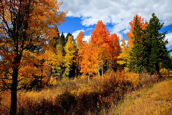 IMG_2533Grand_Teton