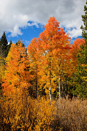 IMG_2534Grand_Teton